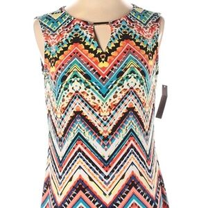 NWT Sleeveless Shift Dress